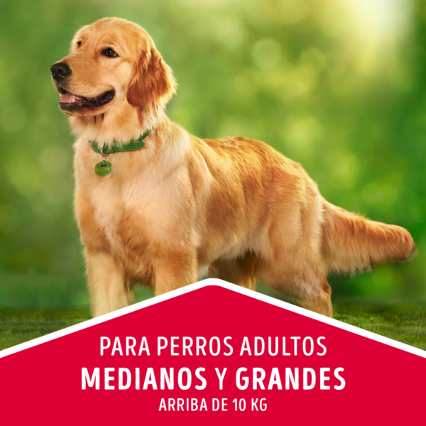 Dog Chow Adulto 8 KG - Imagen 3