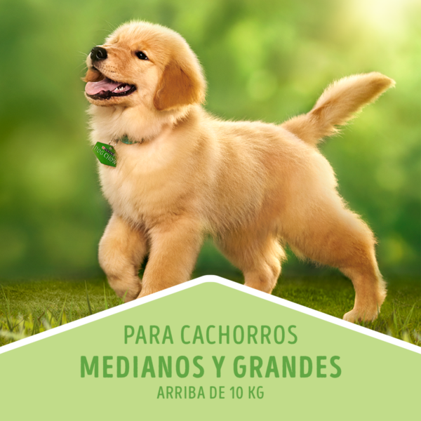 Dog Chow Cachorro 8 KG - Imagen 5